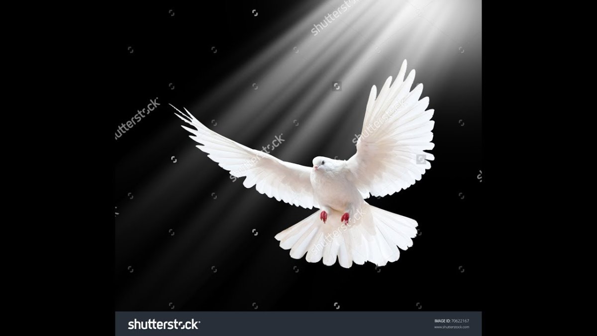 С благословенной пятницей исламские красивые светящиеся