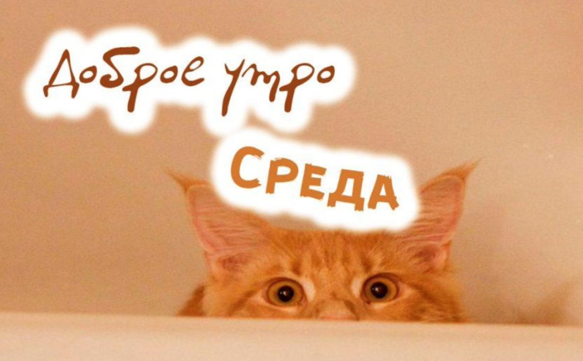 Открытки уже среда