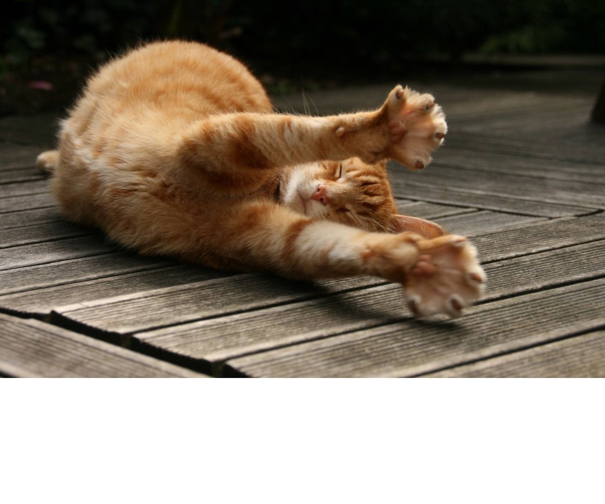 Среда демотиваторы