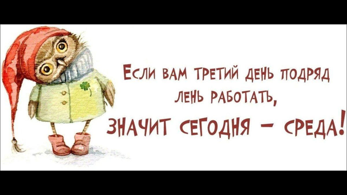 Среда приколы