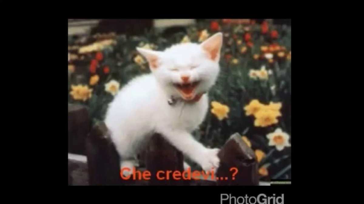 Добрые пожелания