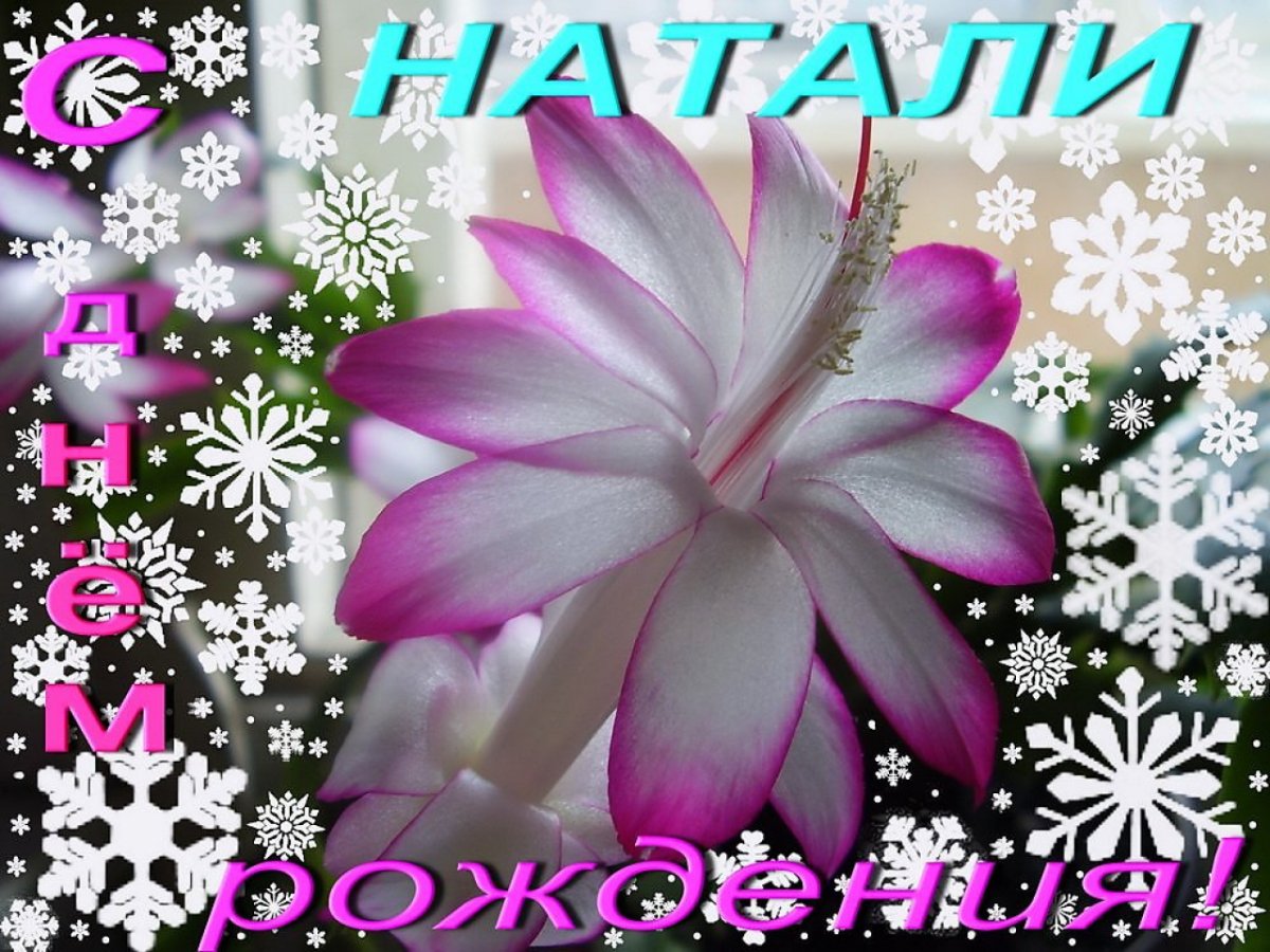 С днём рождения Натали