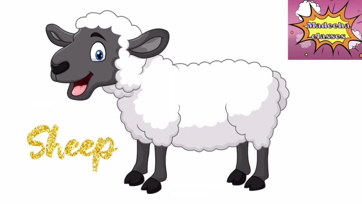 Баран карикатура