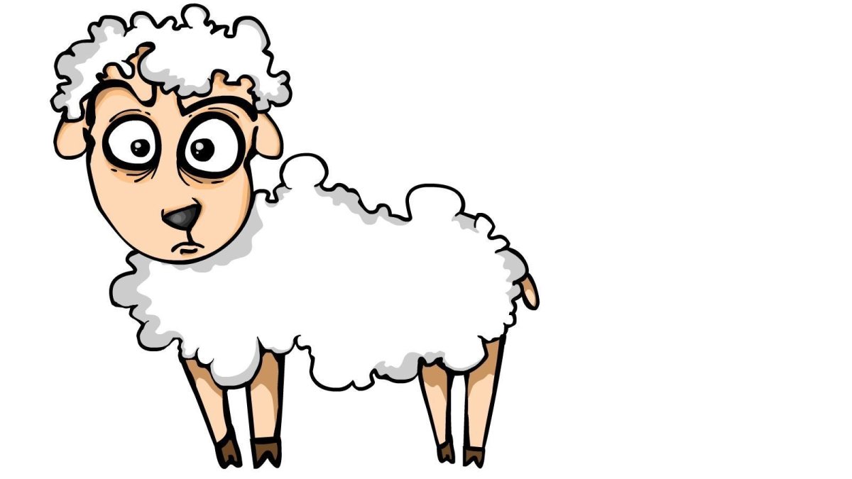 Овечки мультяшные