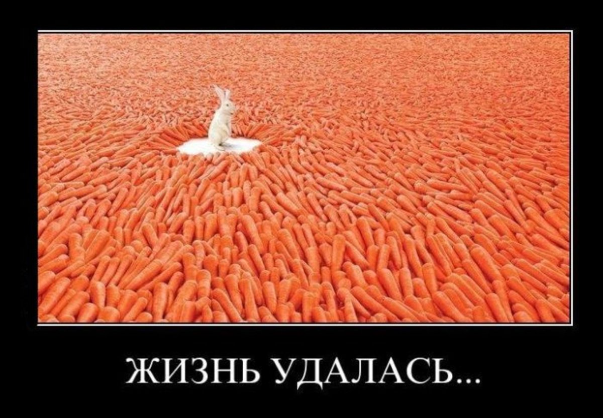 Толстый кот у камина