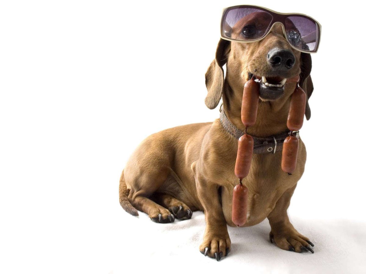 Красная икра