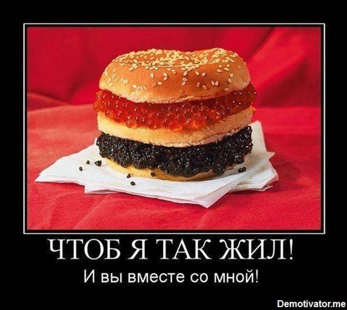 Смешное и интересное