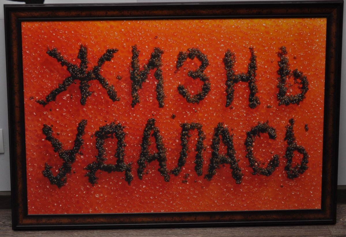 Андрей Николаевич Логвин жизнь удалась. 1997