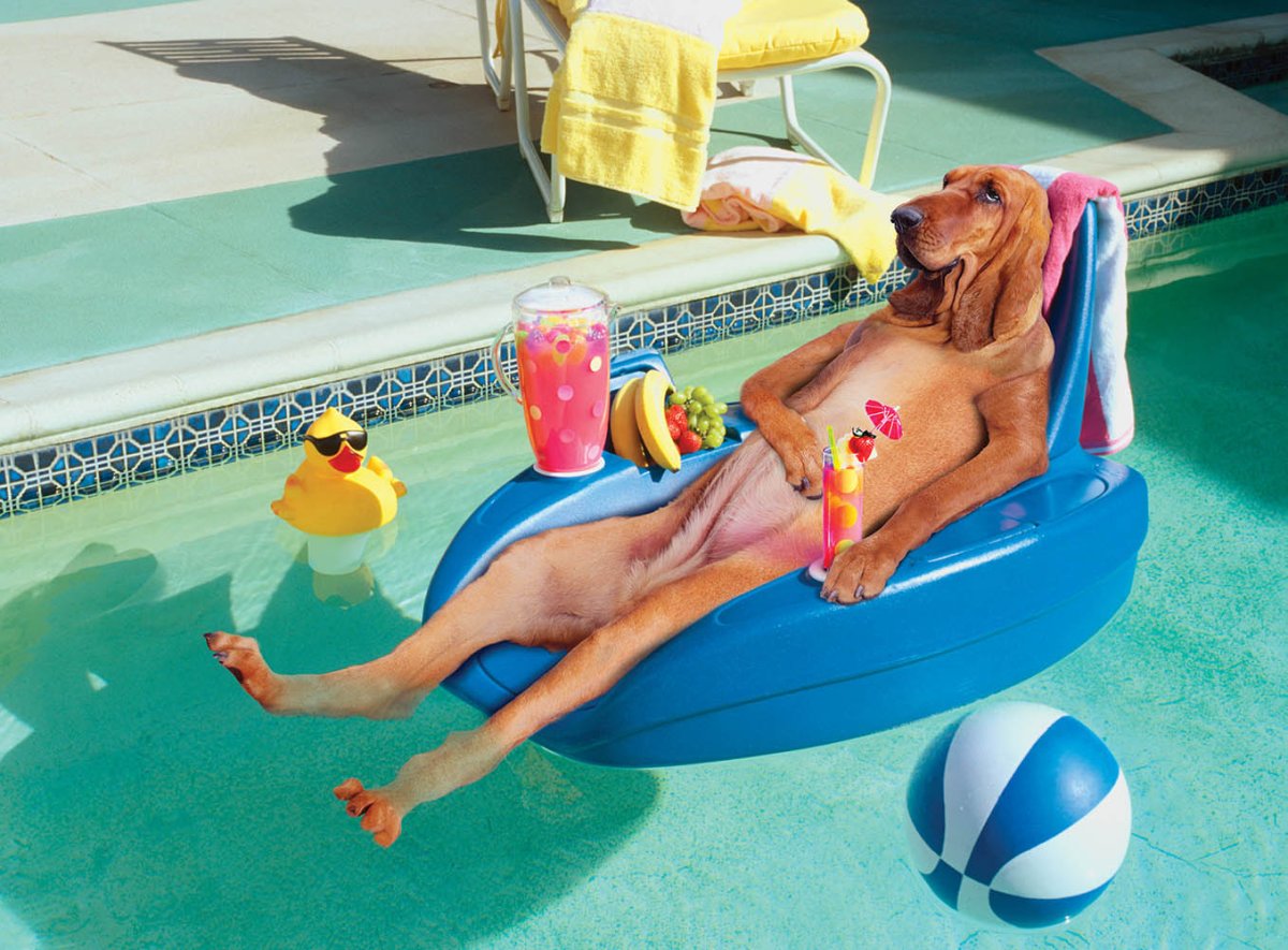 Бутерброд с икрой Кетовой