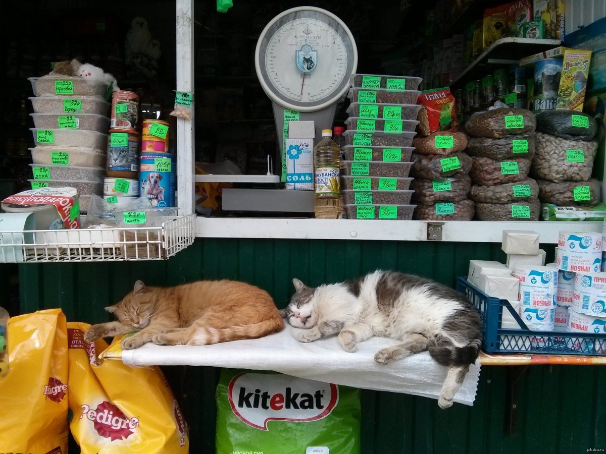 Девушка с бокалом на пляже