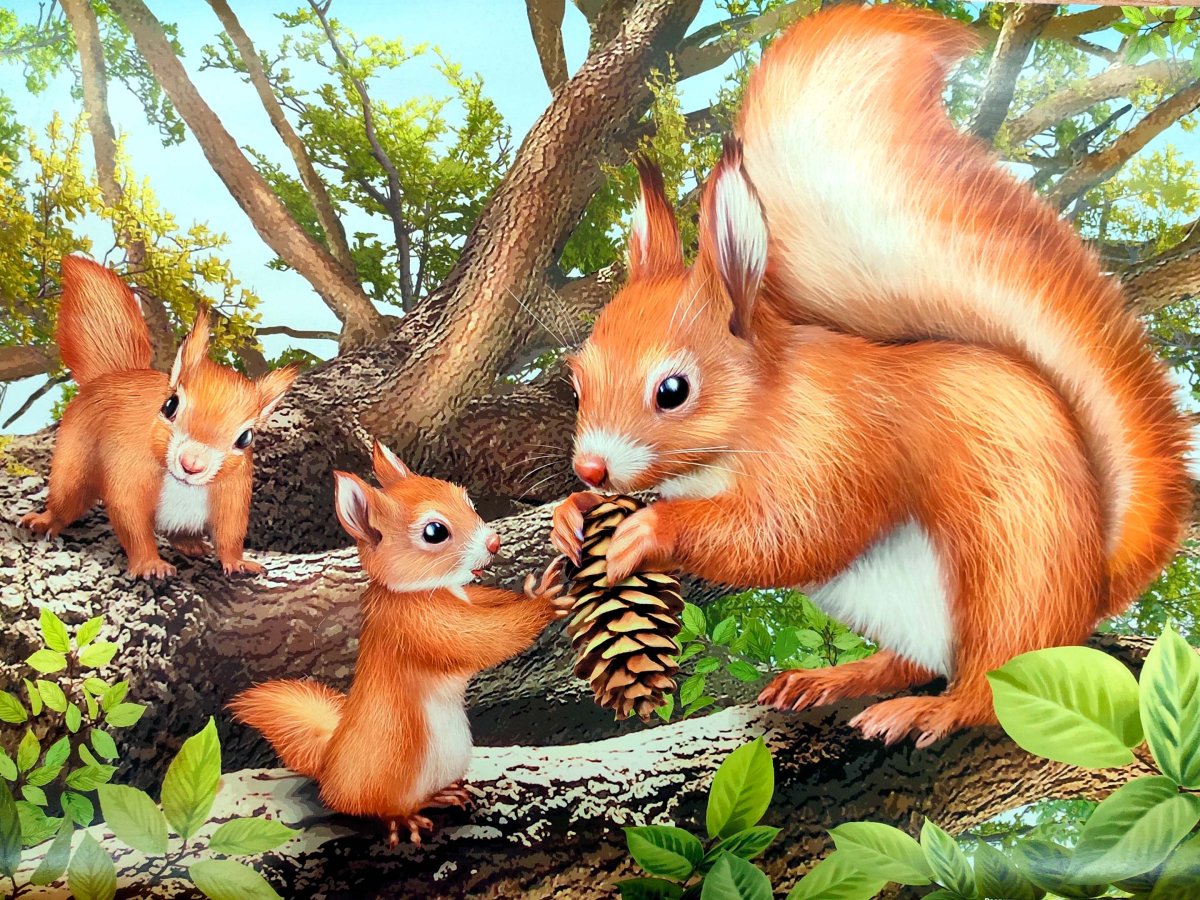 Белка с бельчатами