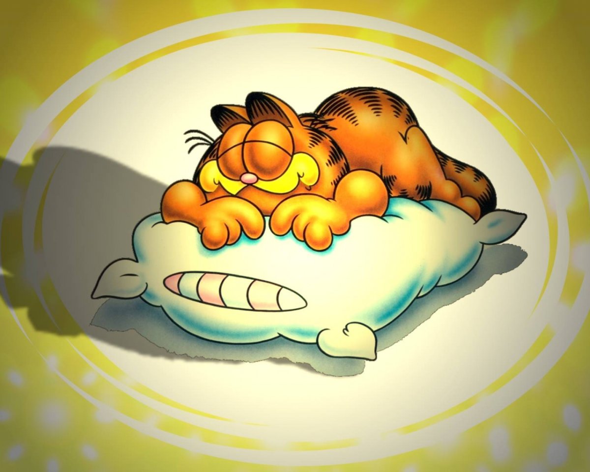 Спящие мишки