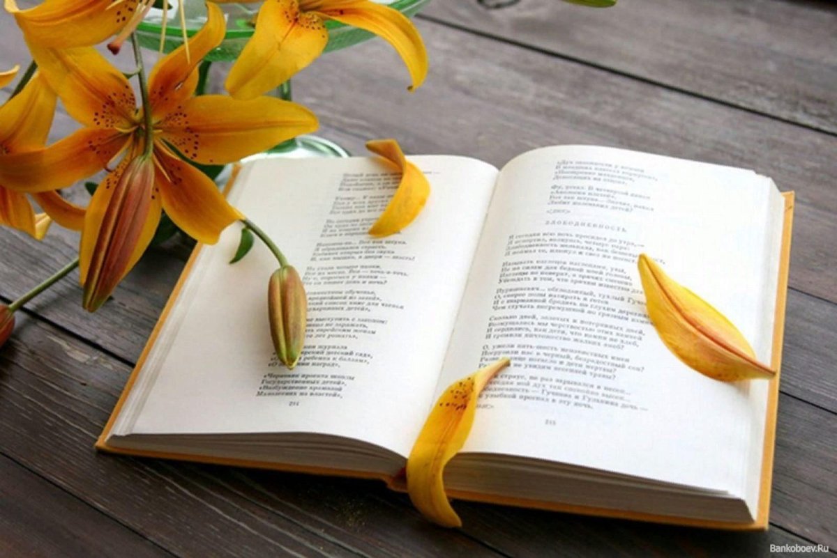 Современная поэзия картинки