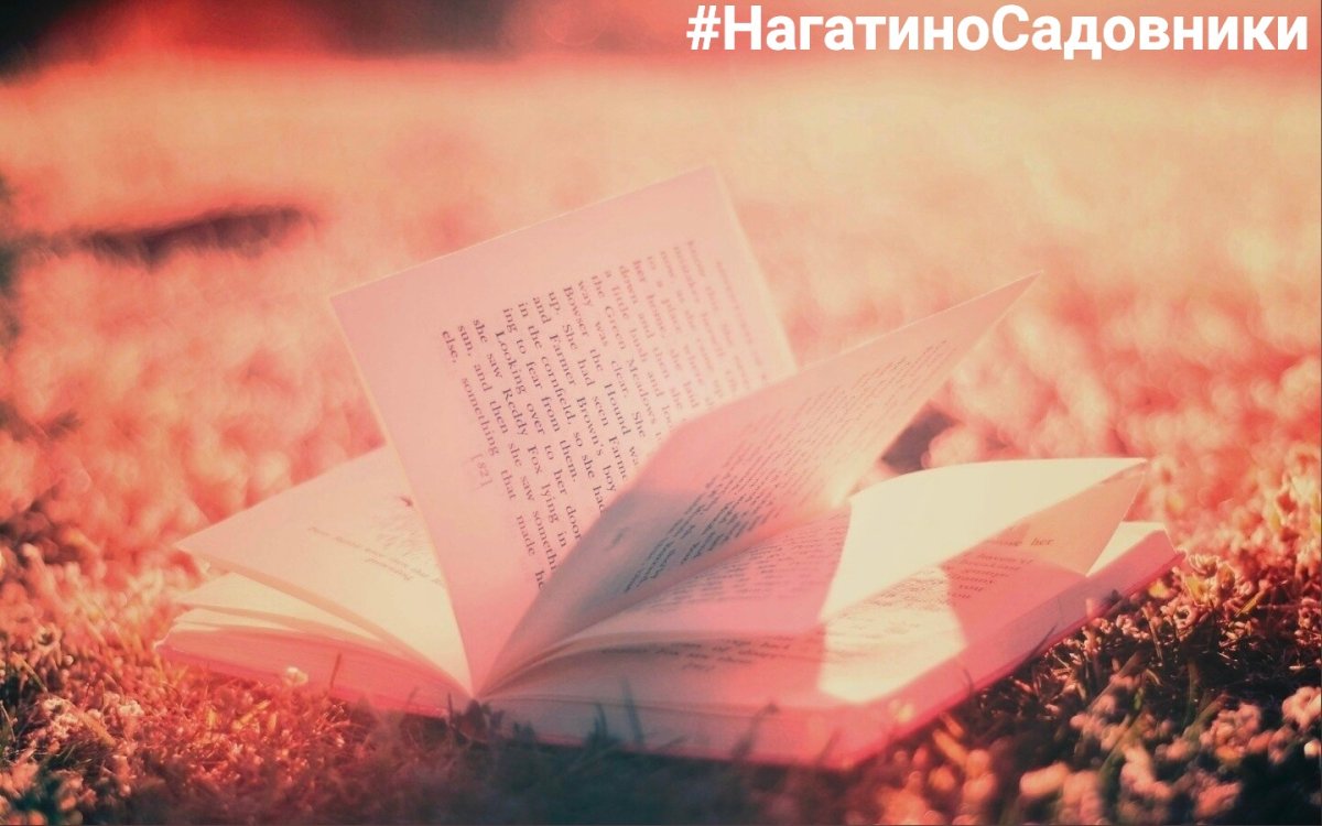 Красивый стих про книгу