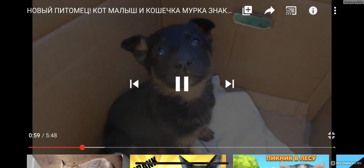 А ну ка давайка