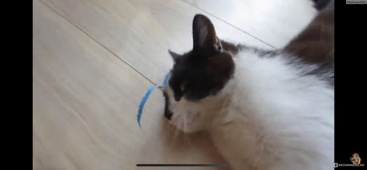 Анука давайка пранки