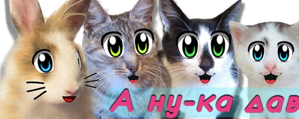 А ну-ка давай-ка