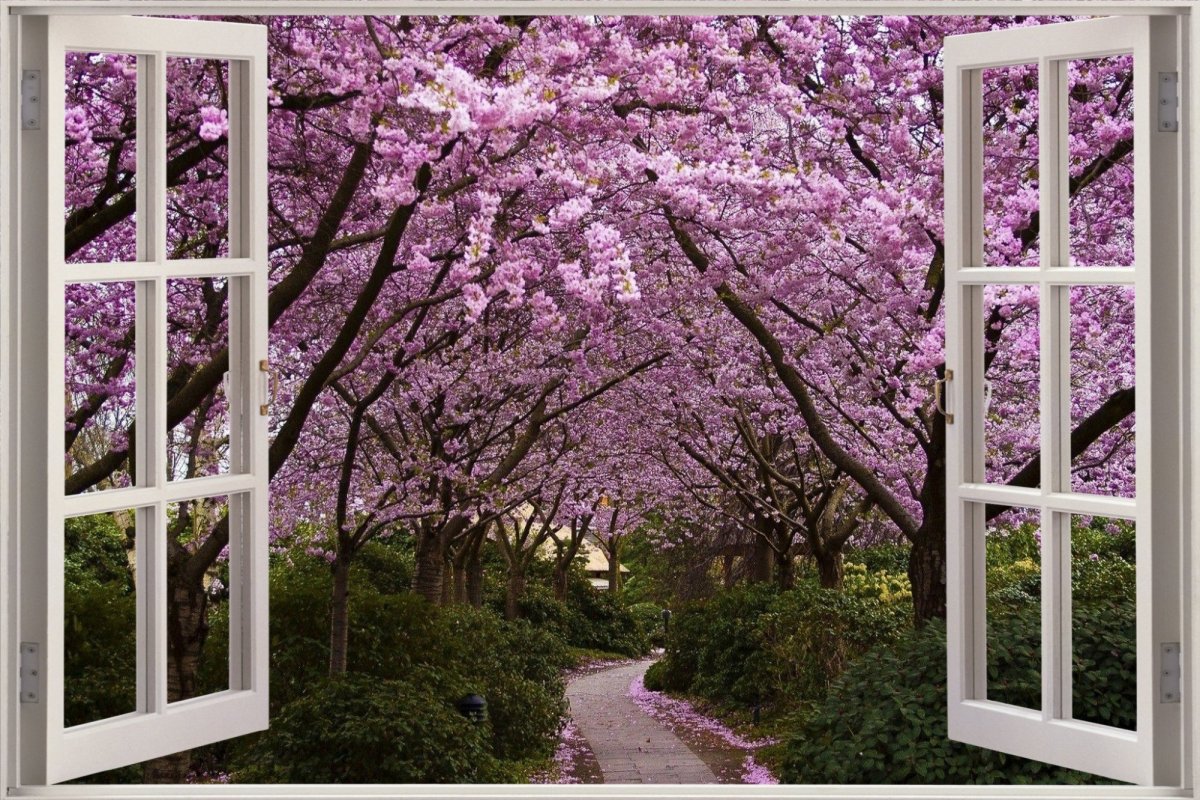 Вид из окна Сакура