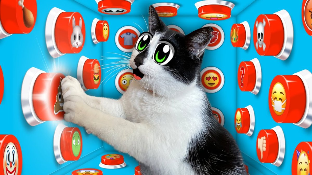 Анука давайка и кнопка