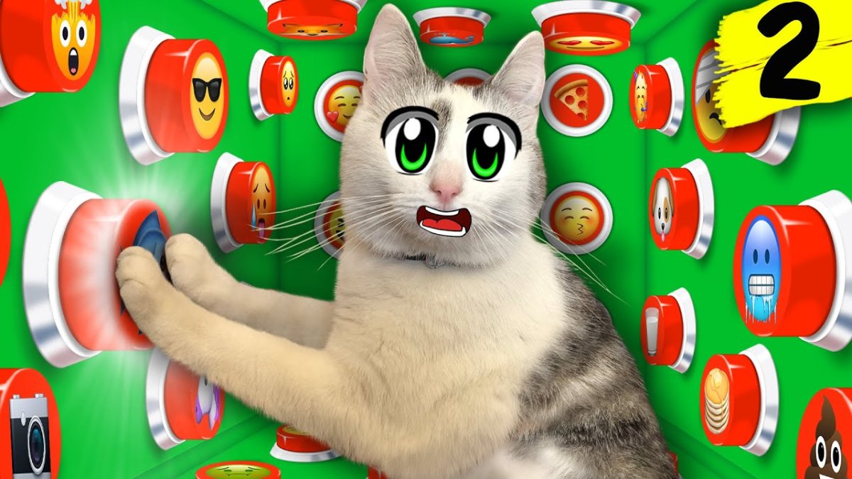 Анука давайка 2022