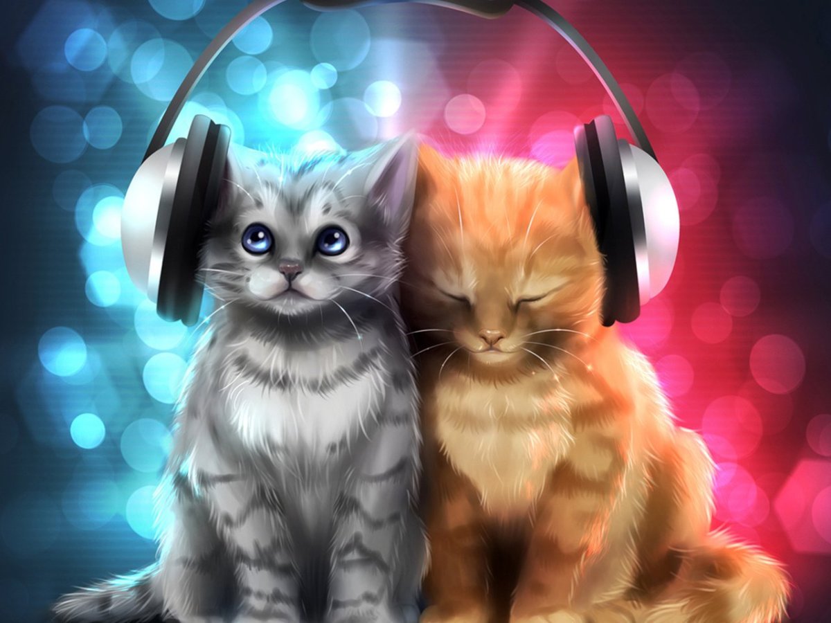 Обои на рабочий стол крутые коты