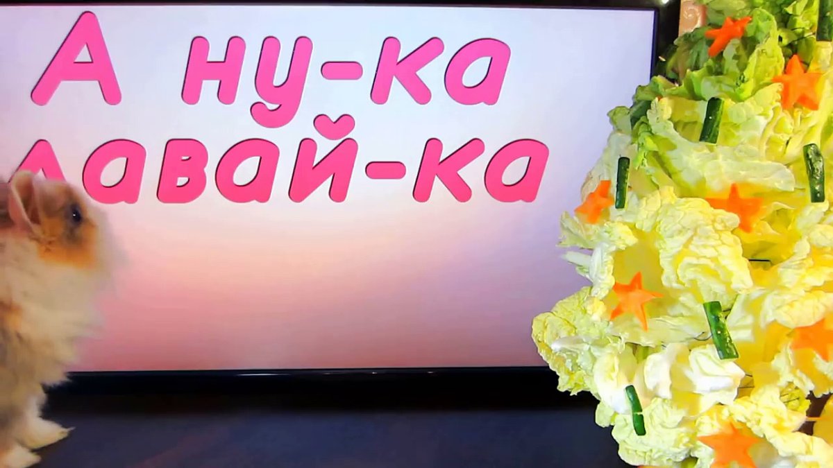 А ну ка давайка