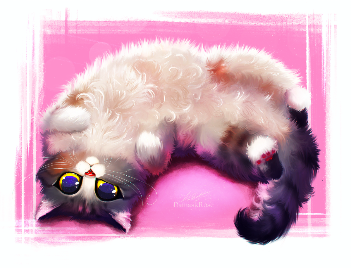 Милые котики в очках