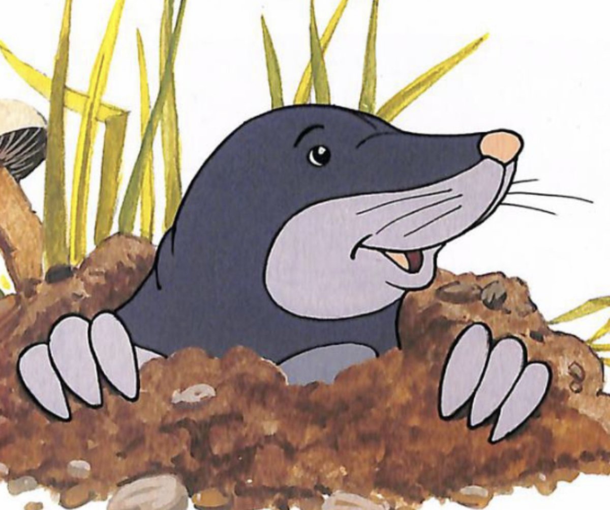 Слепой Крот мультик