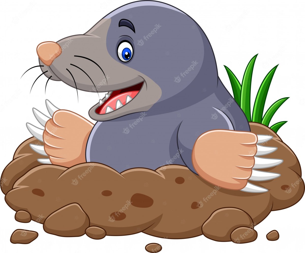 Крот на белом фоне