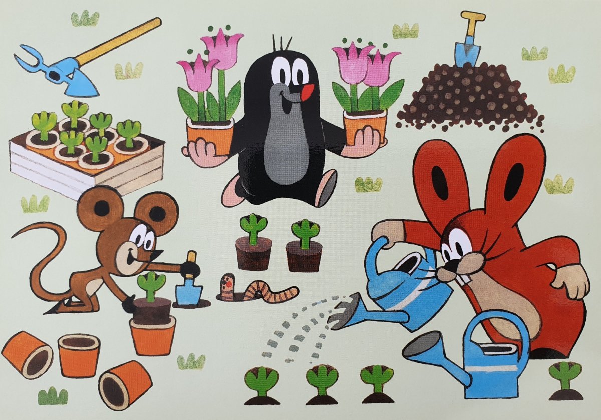 Звездонос (звездорыл)