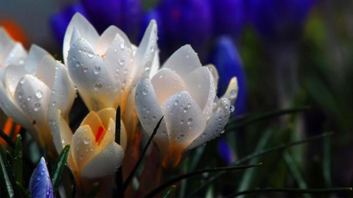 Хорошего весеннего вечера