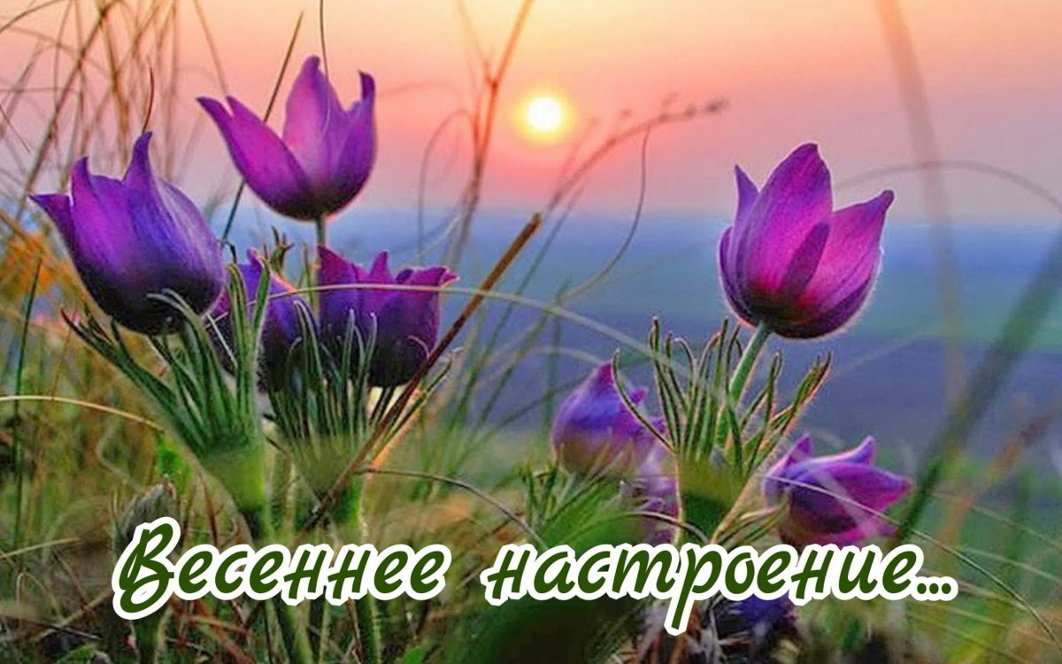 Доброго весеннего вечера природа