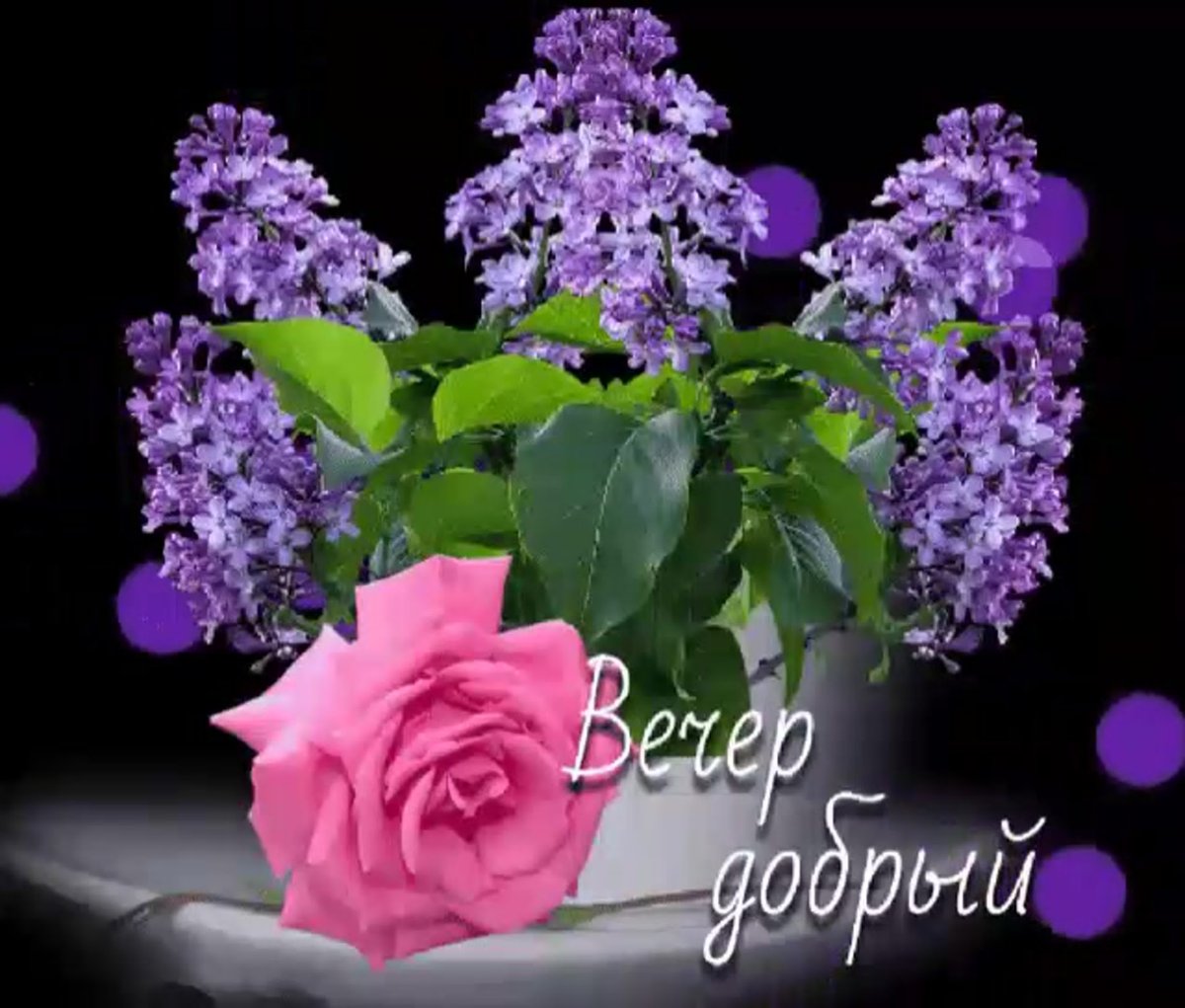 Прекрасного весеннего вечера и хорошего настроения