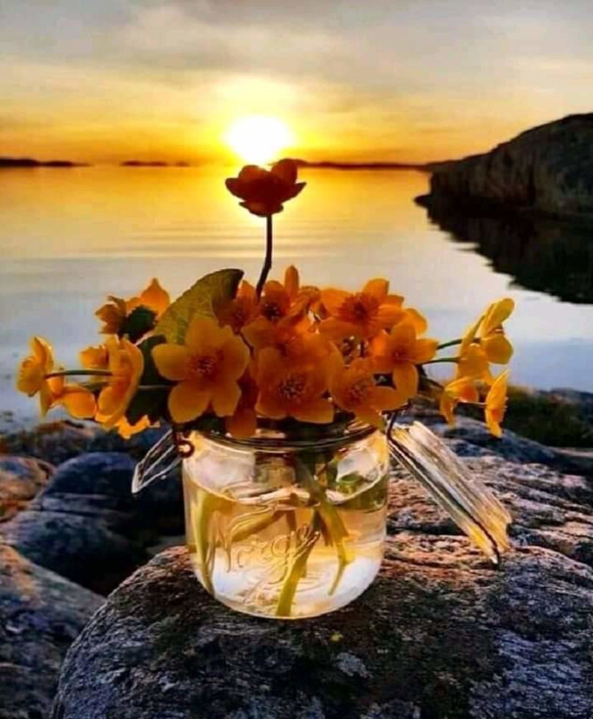 Чудесного вечера