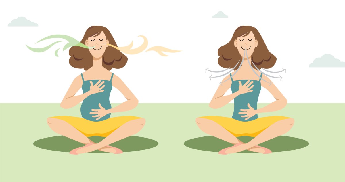 Дыхание вектор