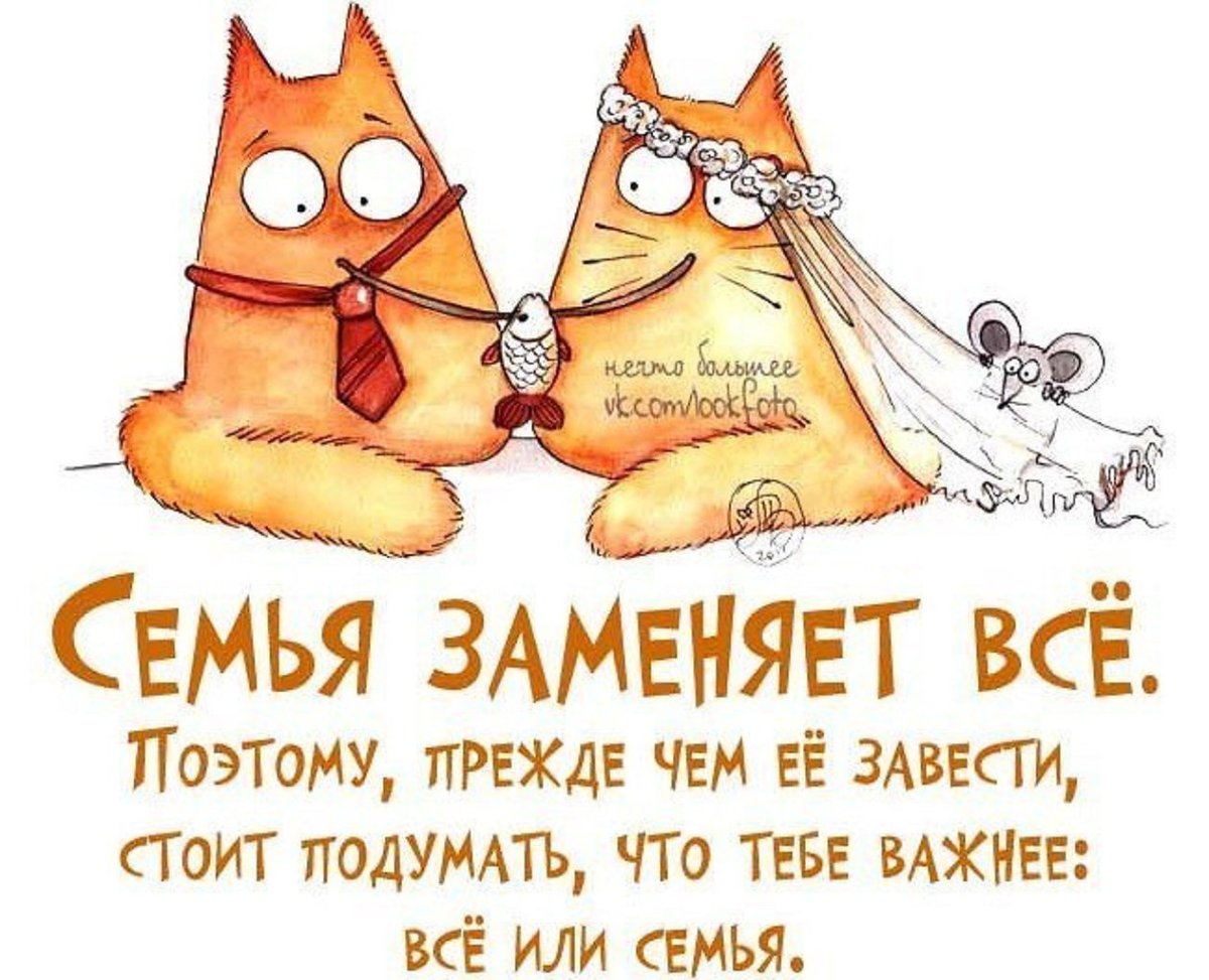 Веселые высказывания о семье