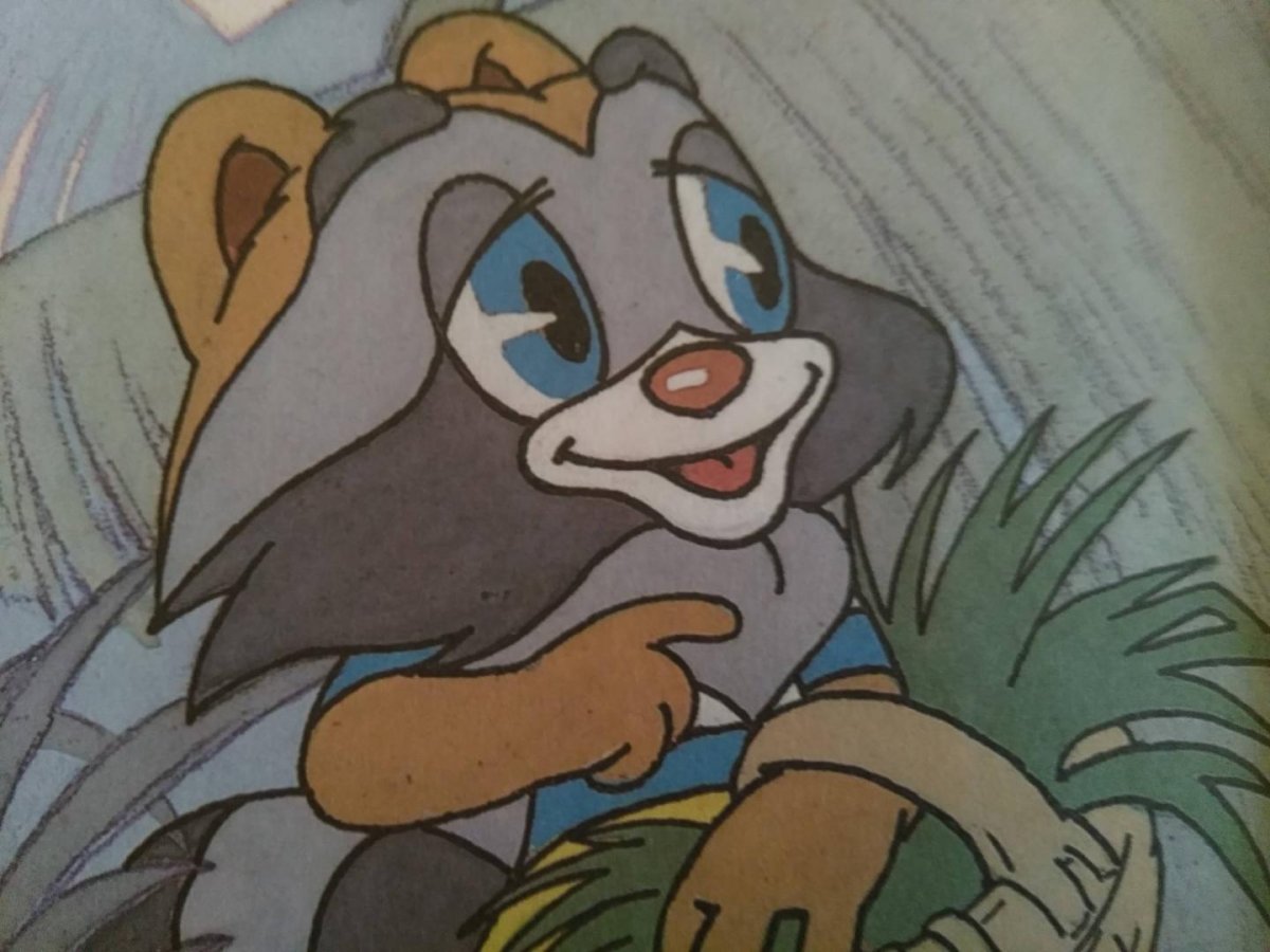 Крошка енот 1974