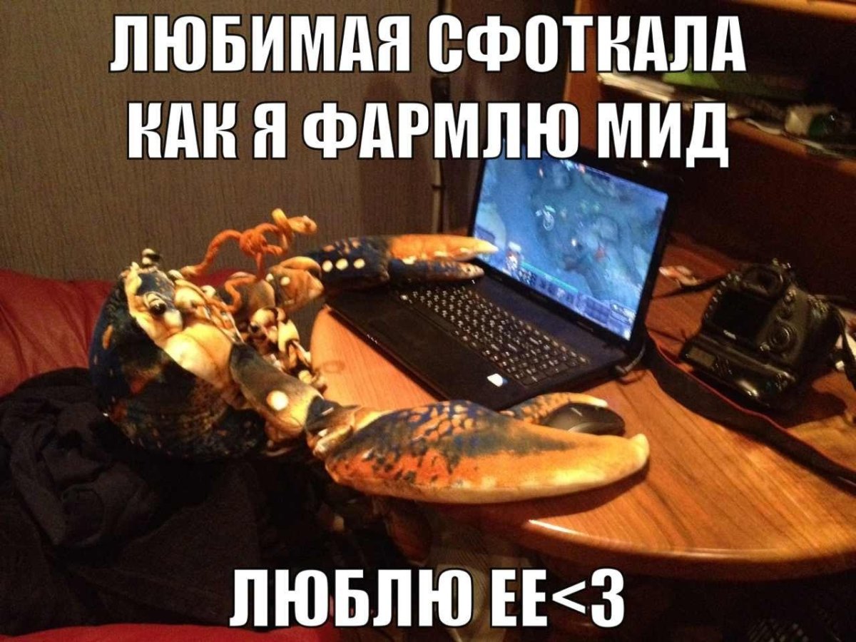 Персонажи доты по знаку зодиака