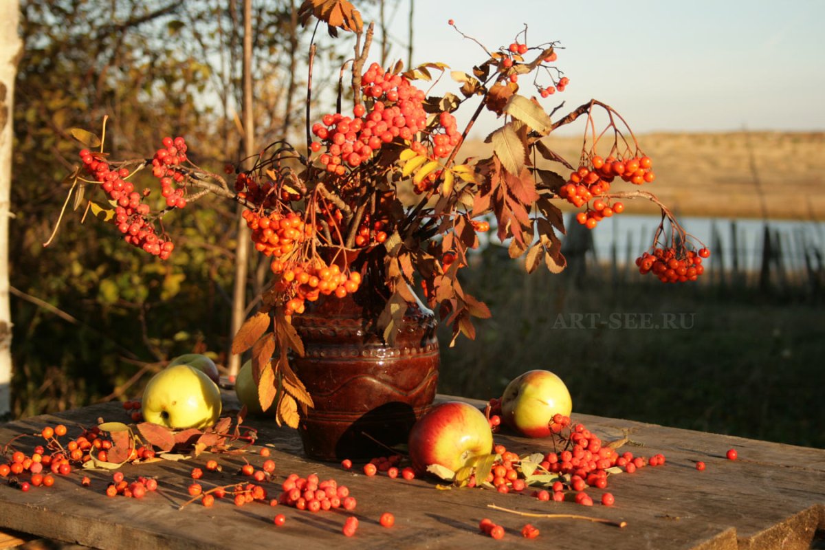 Натюрморт осенний