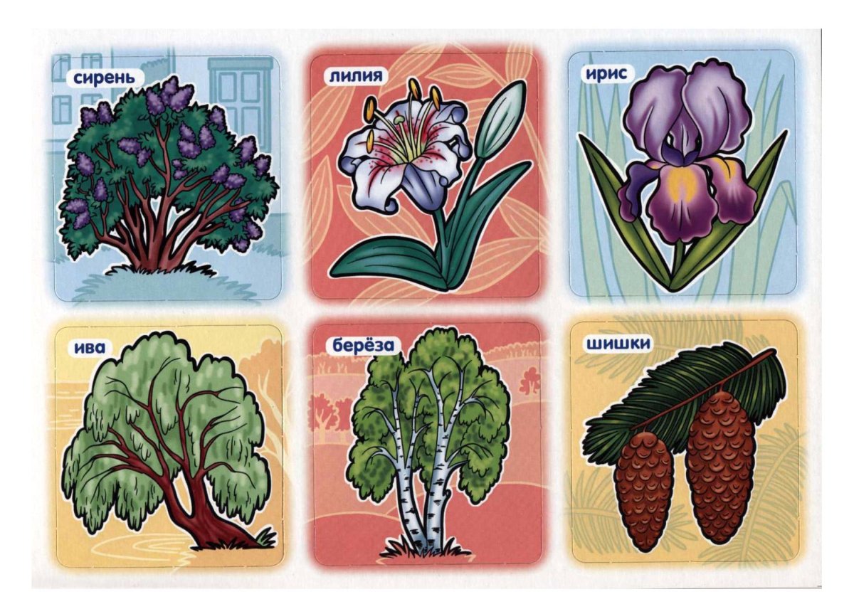 Карточки с изображением одежды