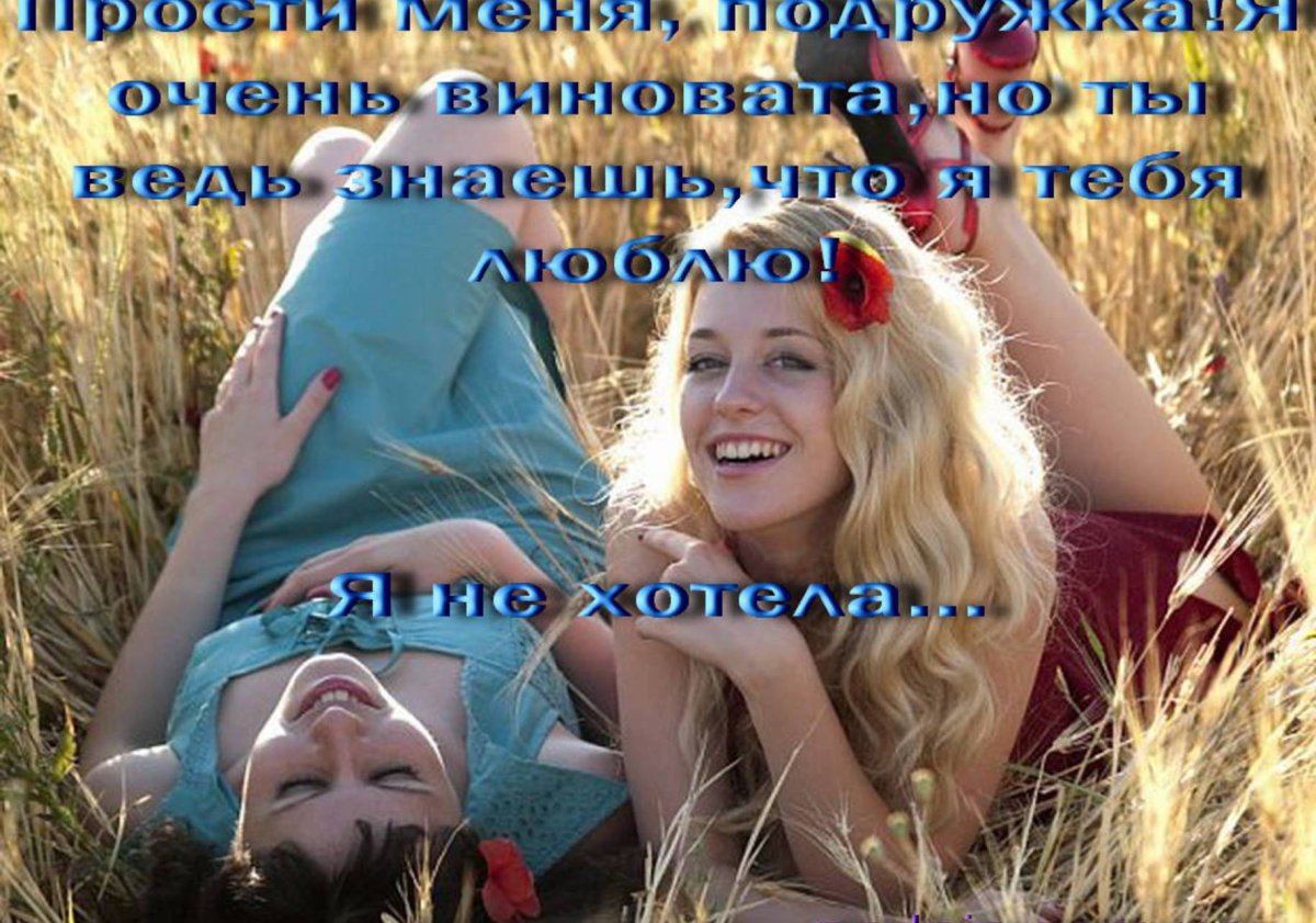 Прости картинка смешная