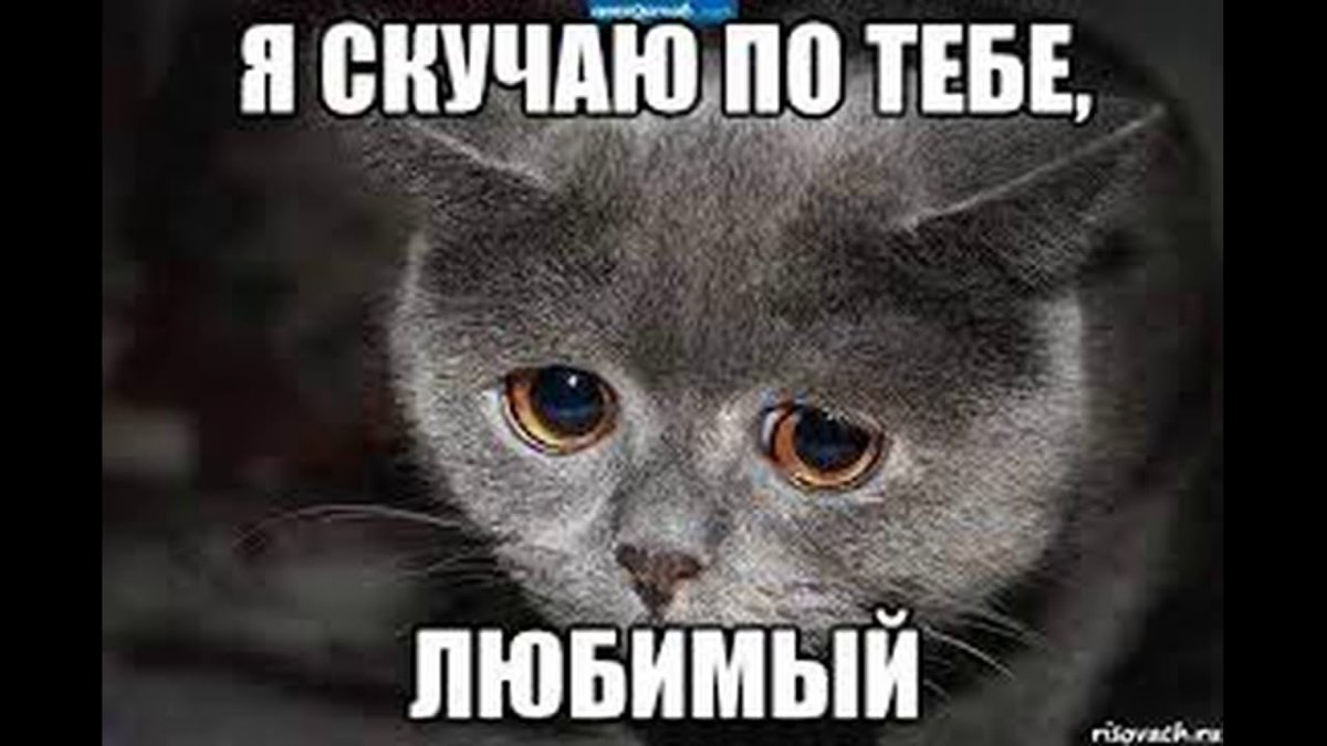 Прощённое воскресенье картинки