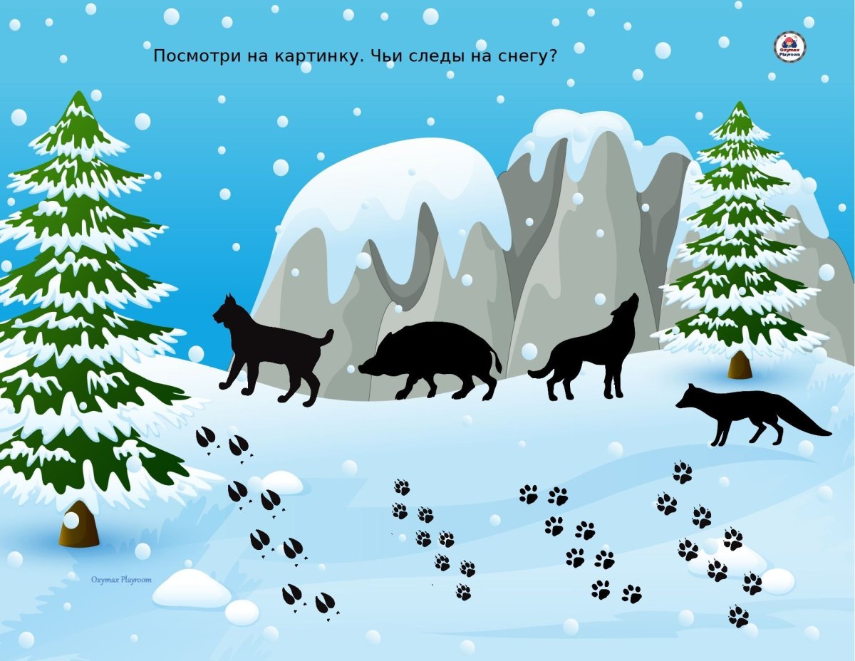 Лесные звери давно приготовились к зиме зимой