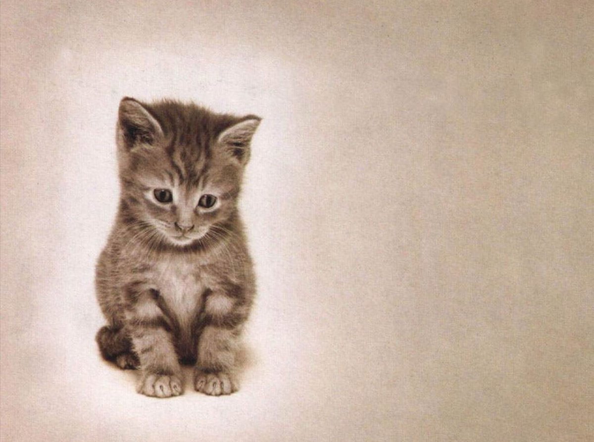 Кот в сапогах глаза