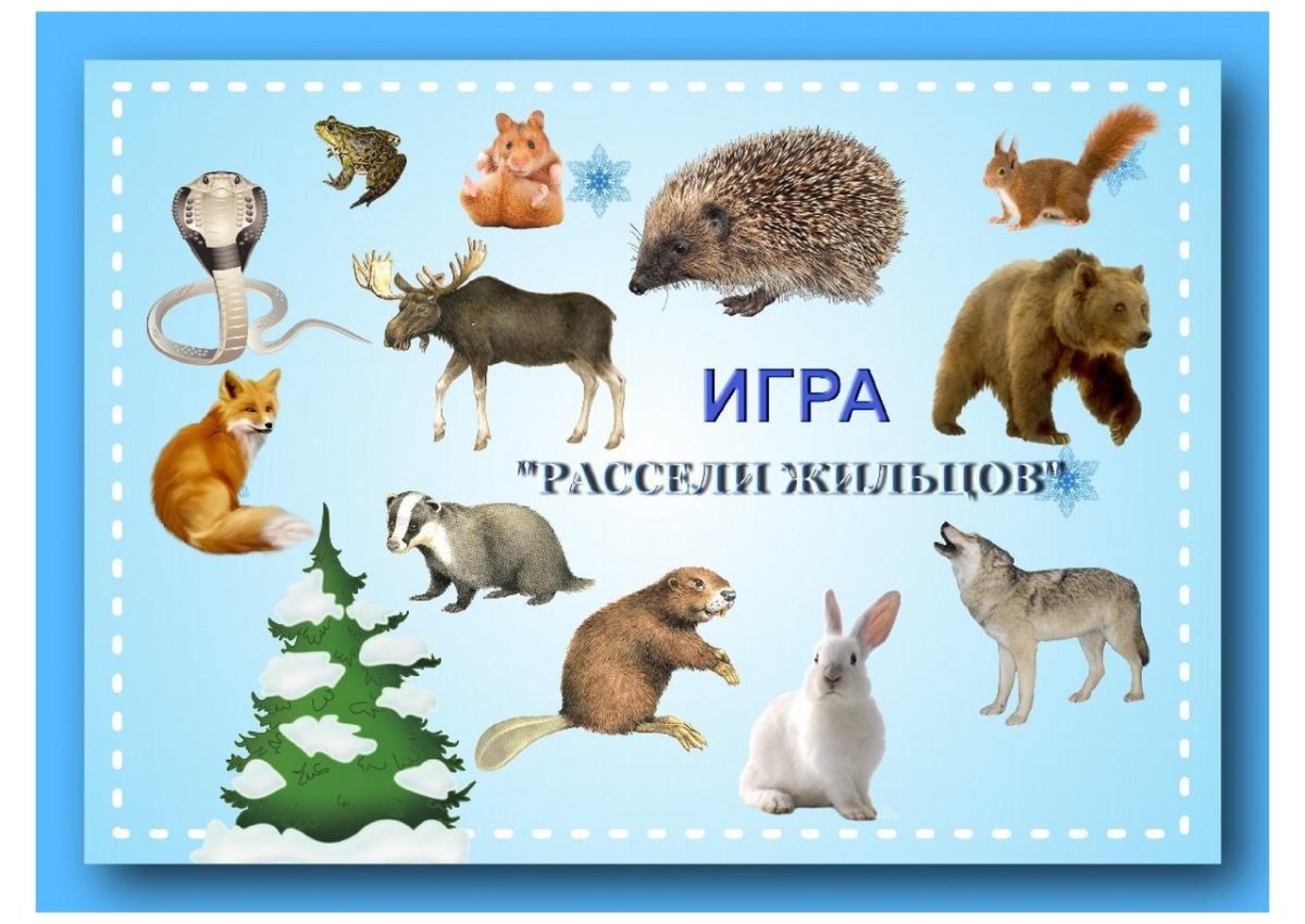 Дикие звери зимой для дошкольников
