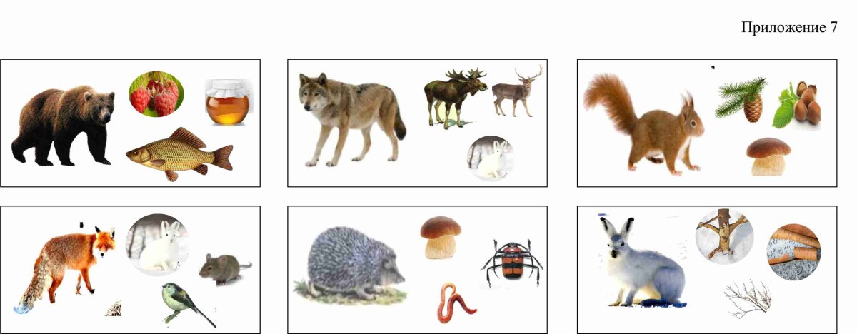 Кто что ест Дикие животные