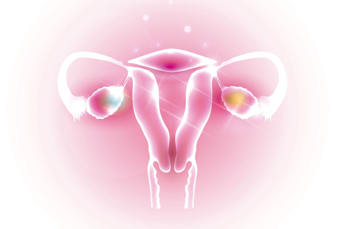 Женское здоровье гинекология