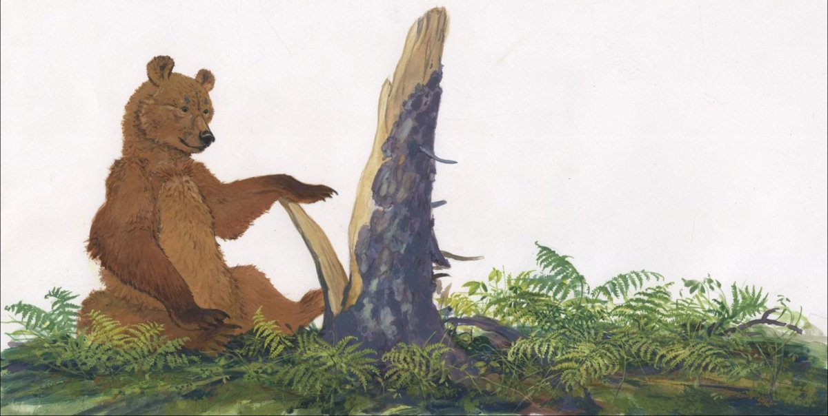 Медведь музыкант Бианки