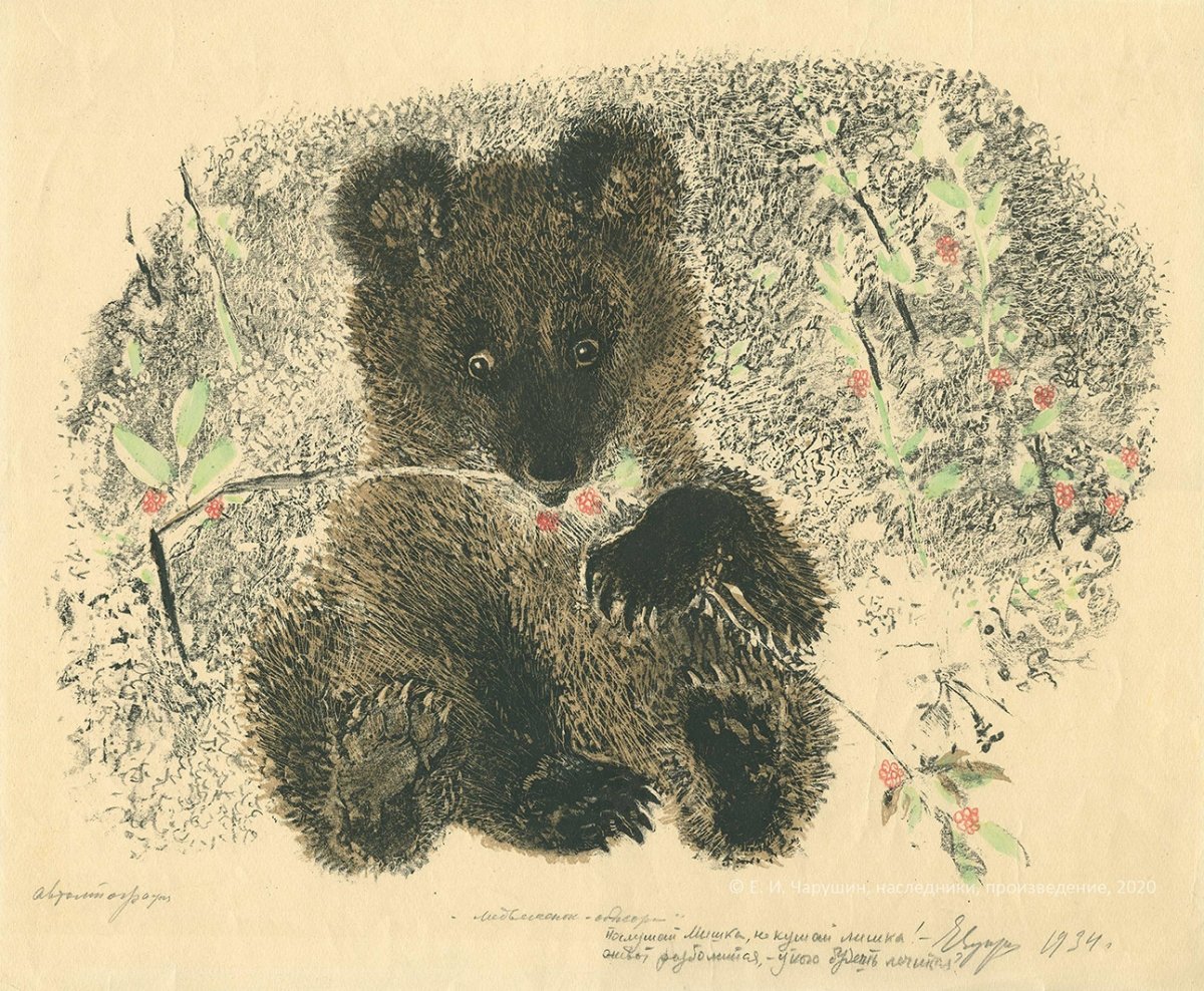 Лесные Полянки Виталия Бианки