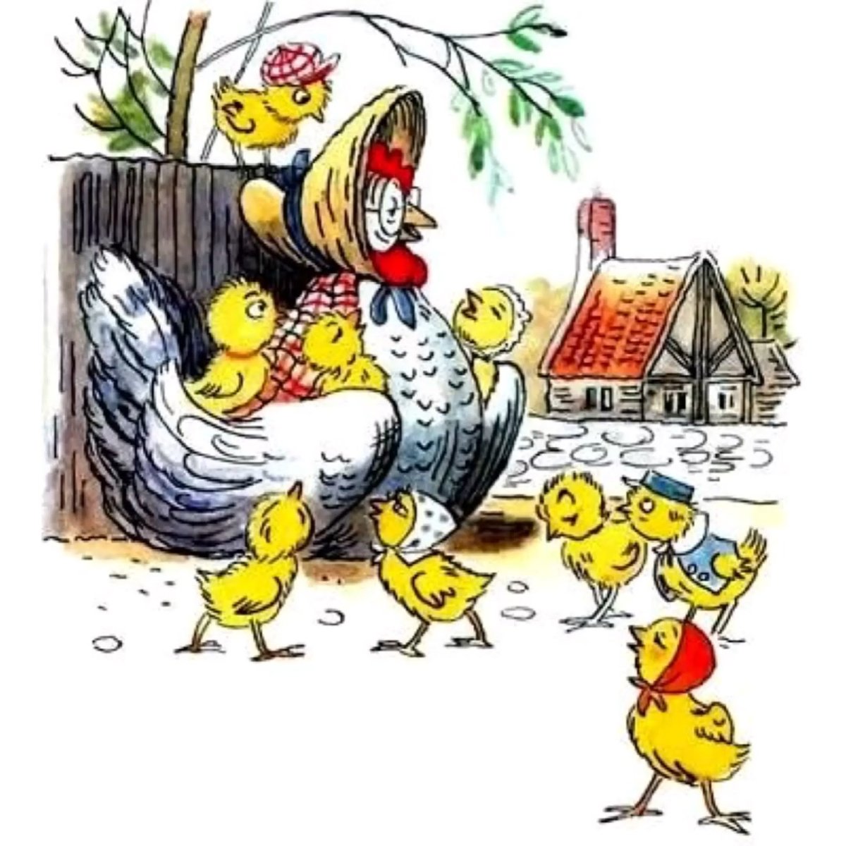 Чуковский курица красавица